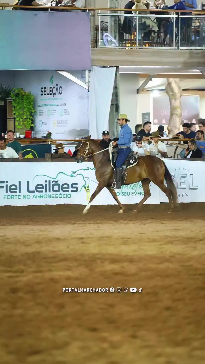 @Portal Marchador