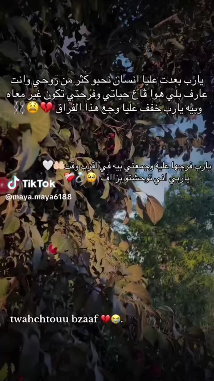 @باشيشو🖤