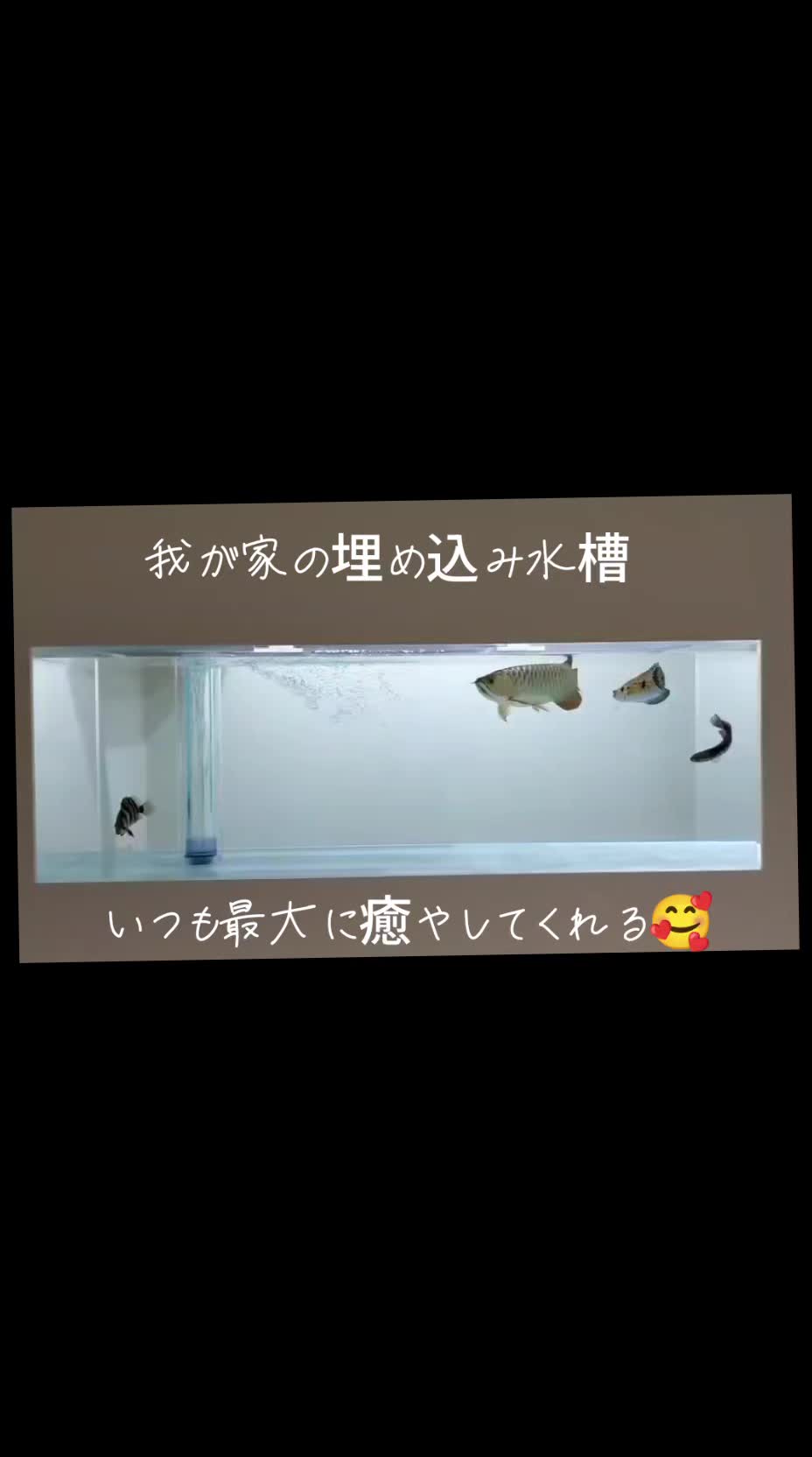@🐺がじゅ丸🌕
