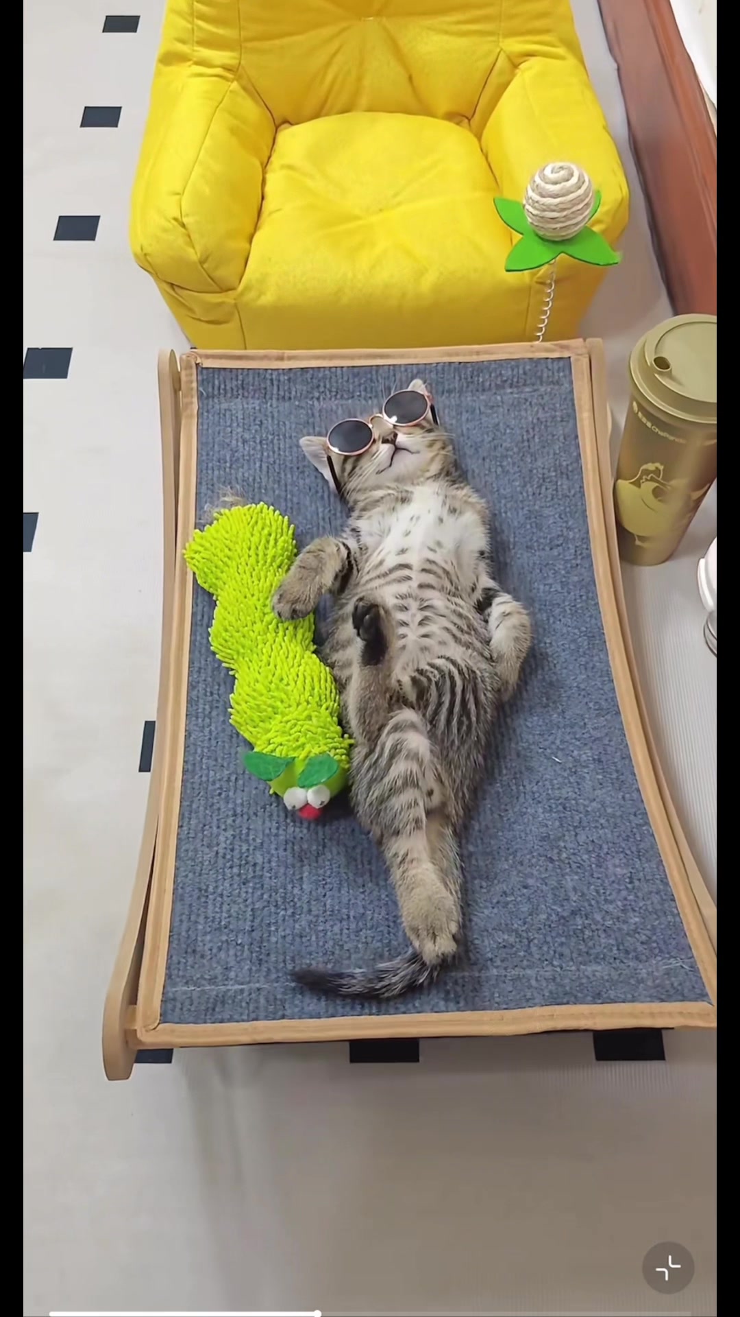 @My Daily Dose of Aww