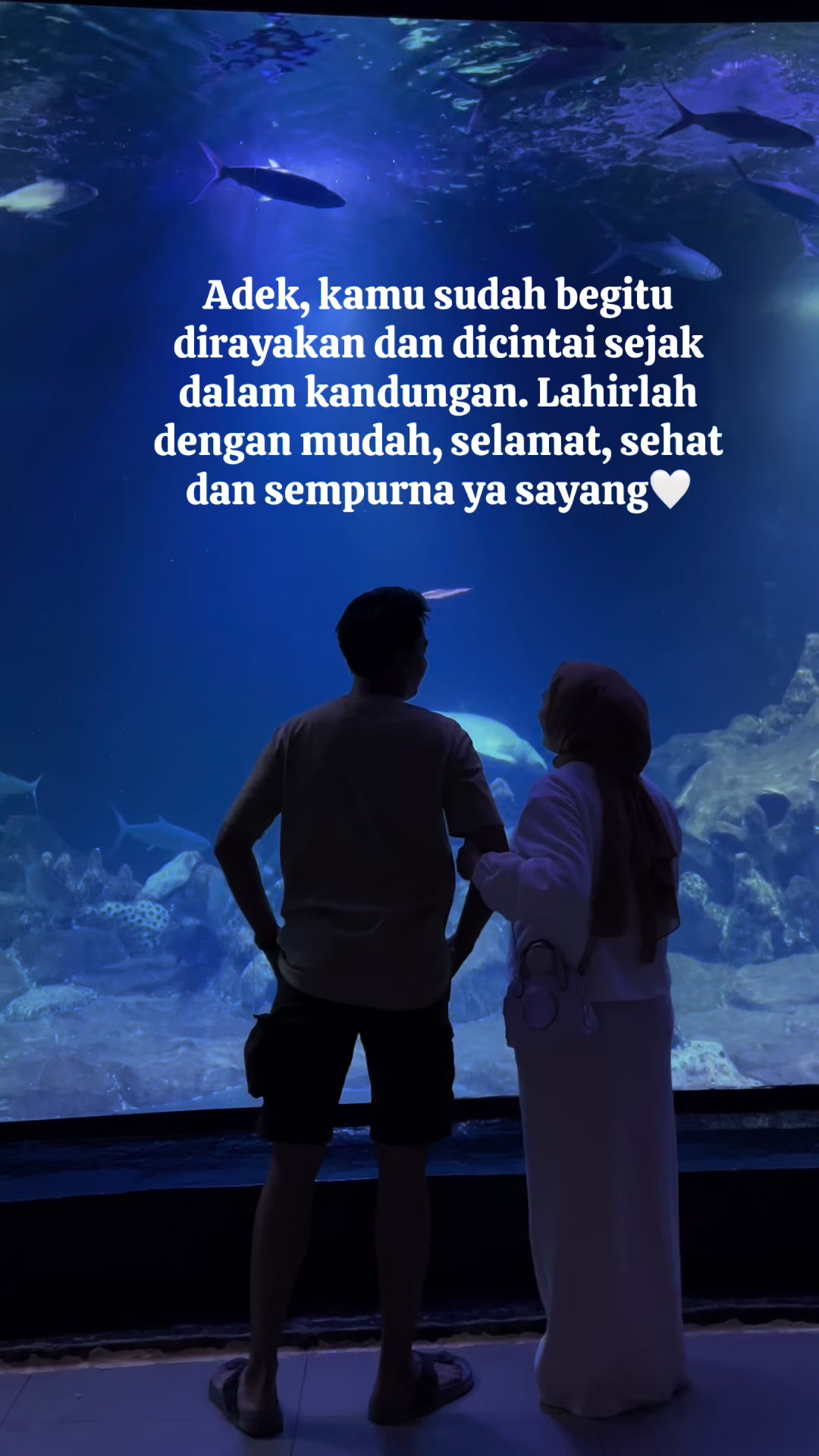 @Lyne 𐙚