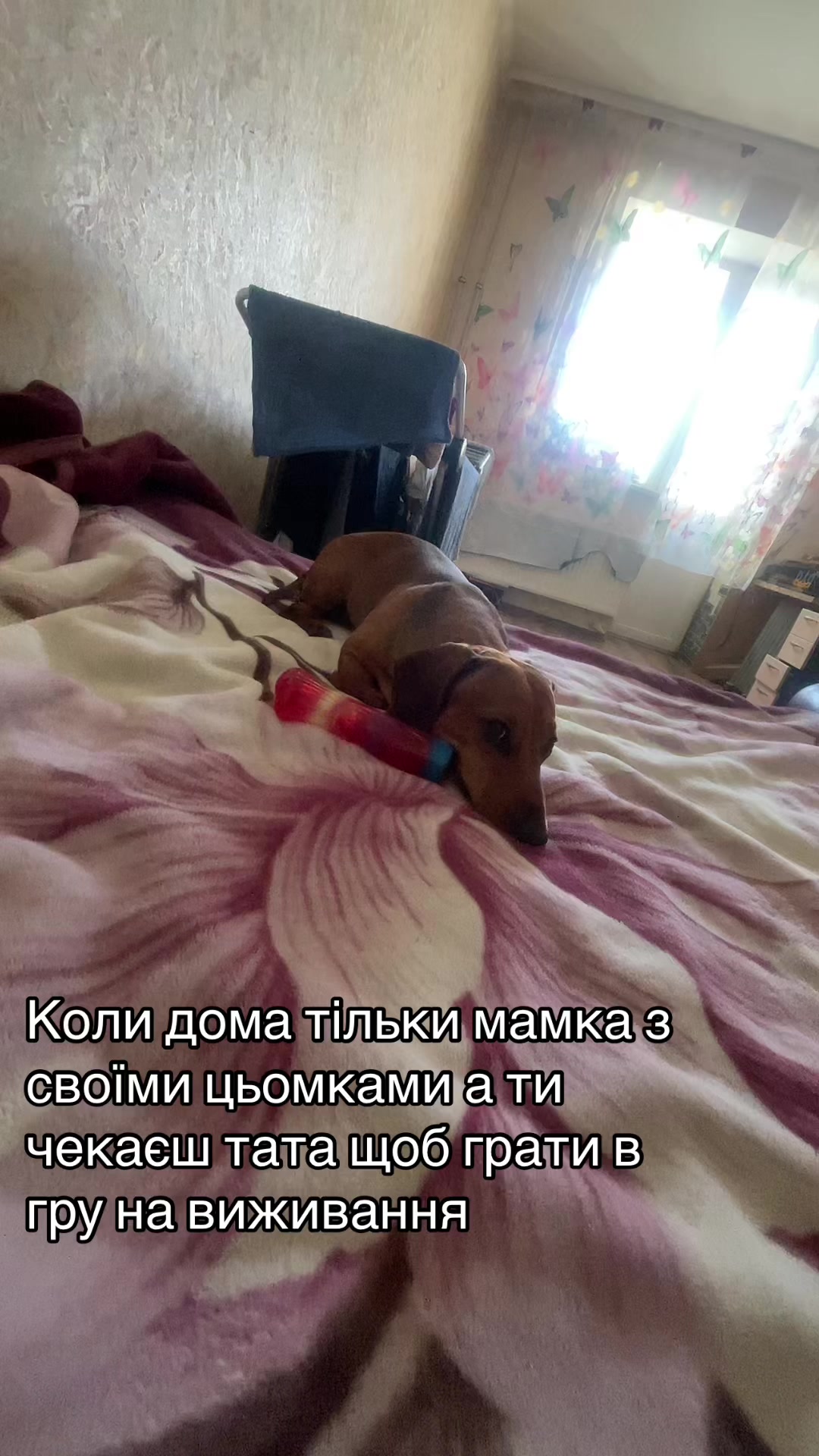 @Юлия Милько😜
