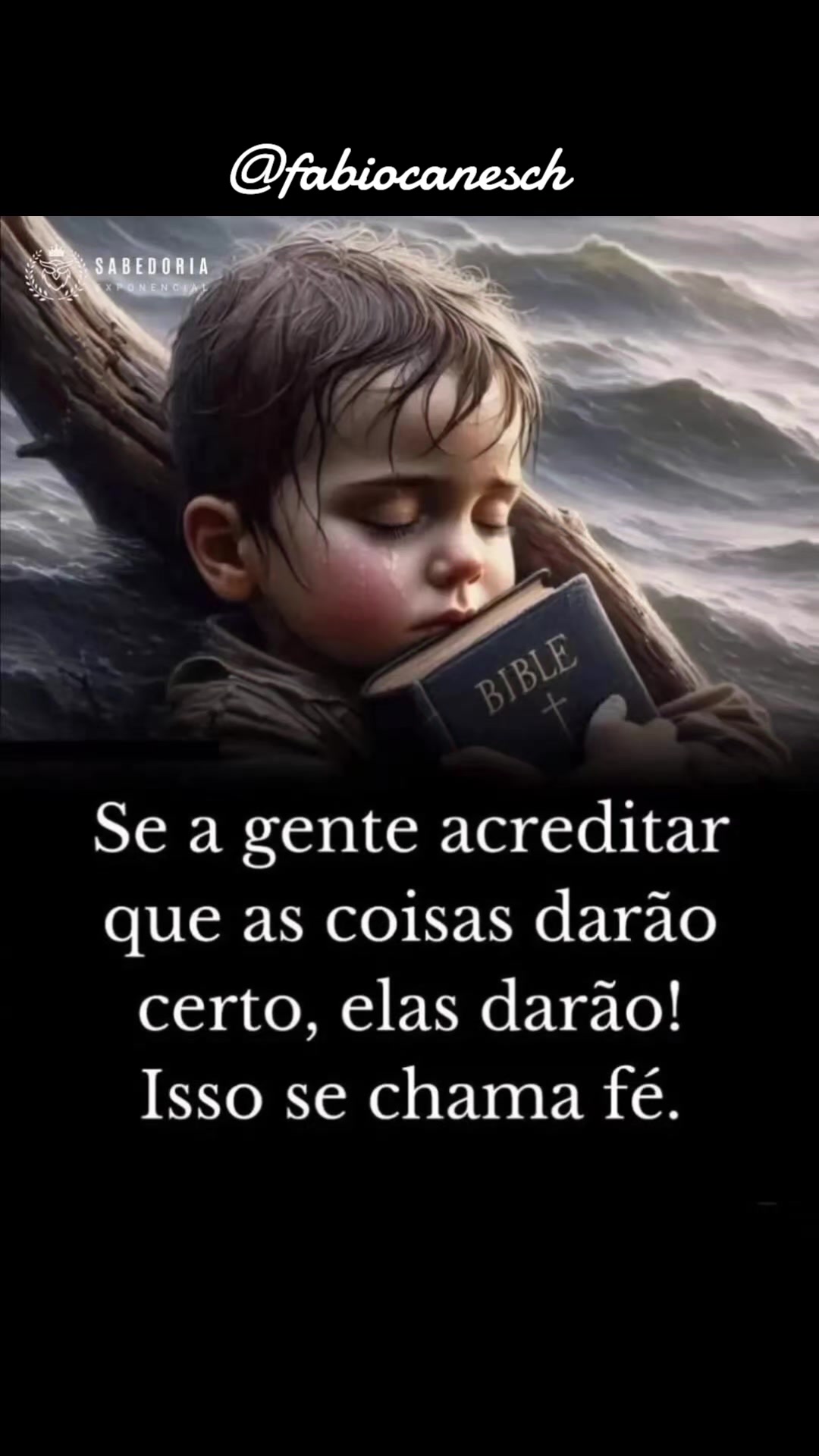 @F&aacute;bio caneschi de Oliveira