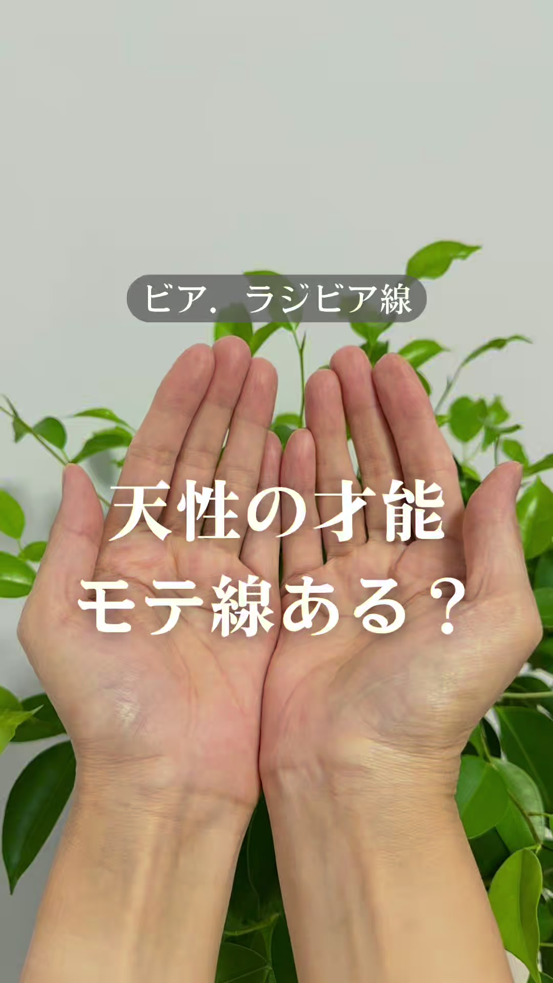 @shizue_tesou