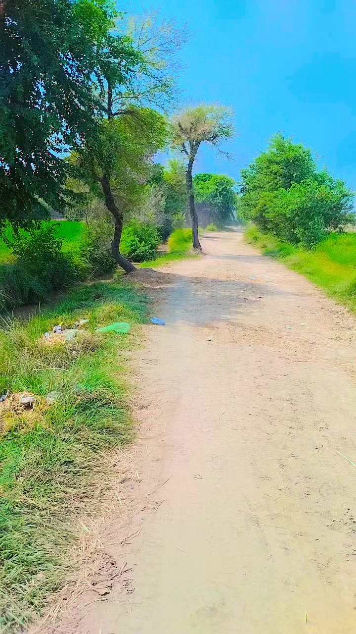 @miss6868