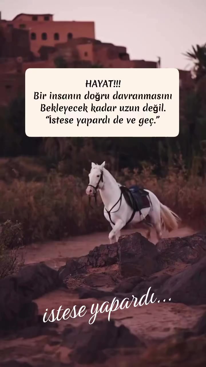 @mimar_ali