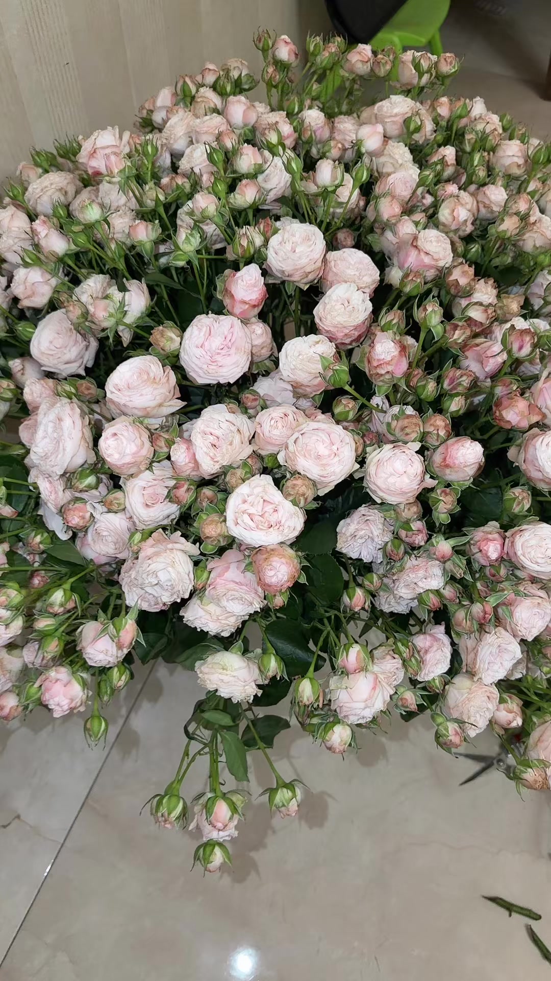 @ar_abrahamyan