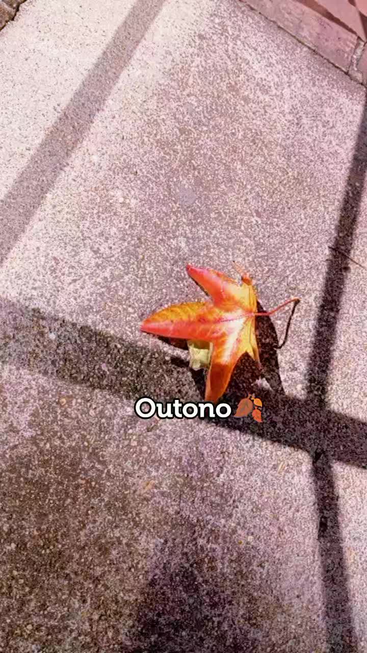 @Denise ga&uacute;cha🌪⚡️🧡