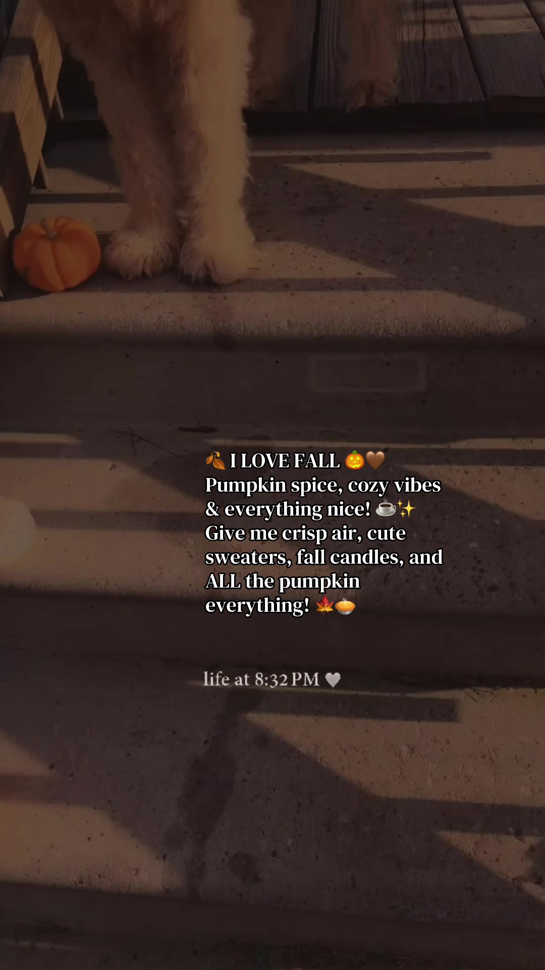 @Keila Kay 🧡