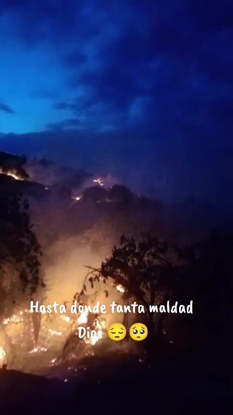 @MaLeja Niieto