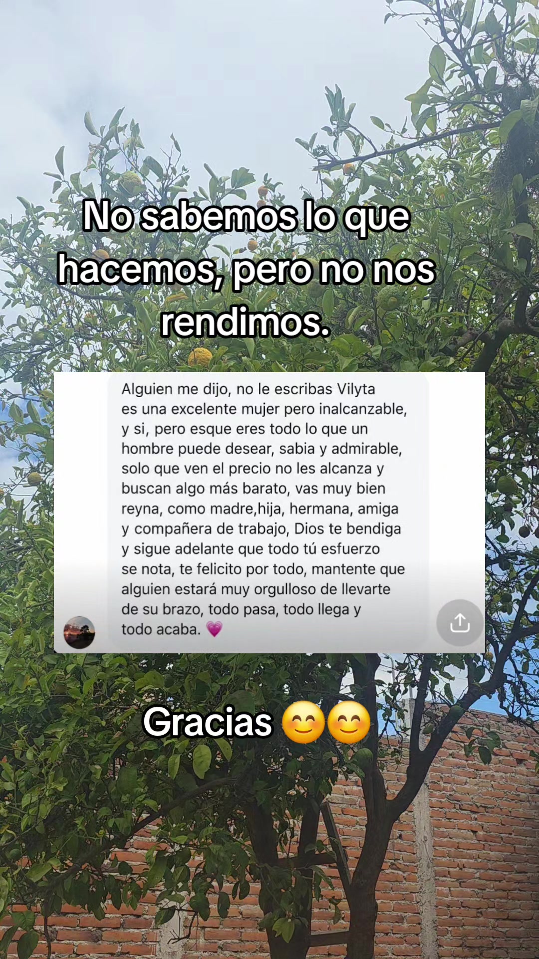 @Vily