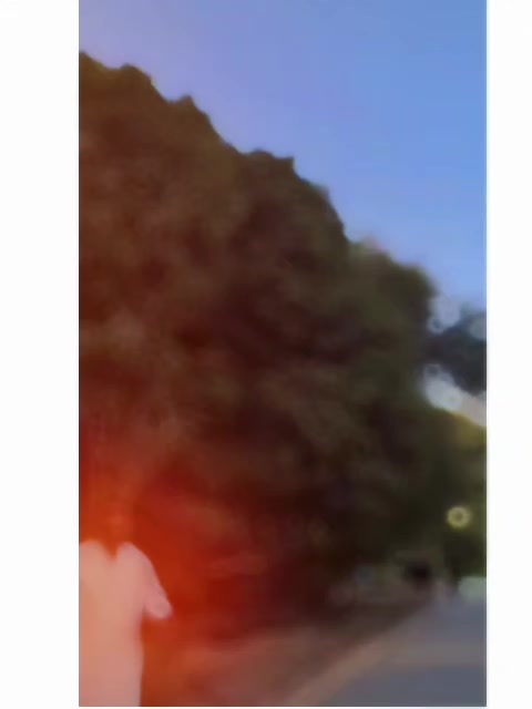 @مخلص بڈانی