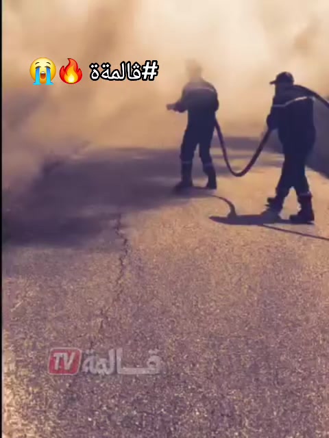 @๐ดé๐๐๐ùโ
โ๐ฉ๐ฟ๐ง