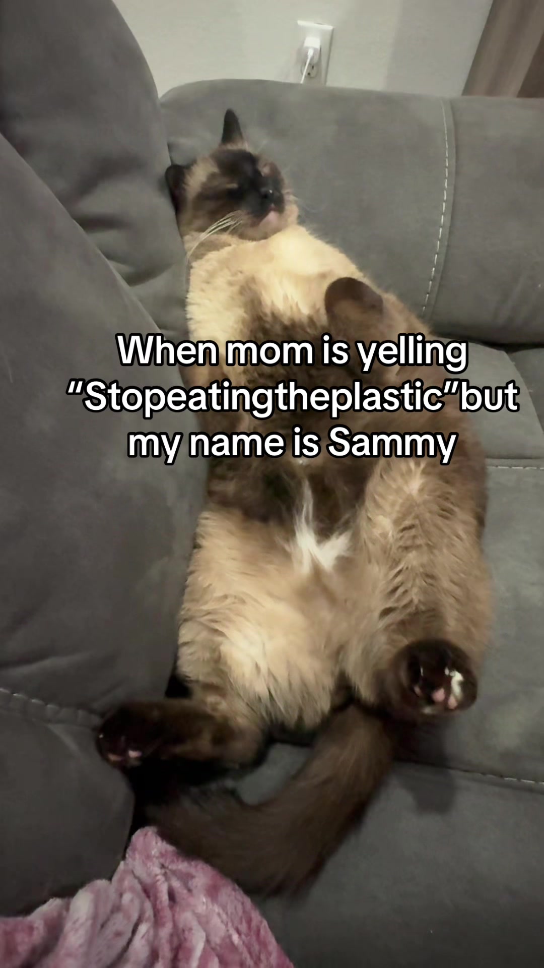 @Kim Schubert