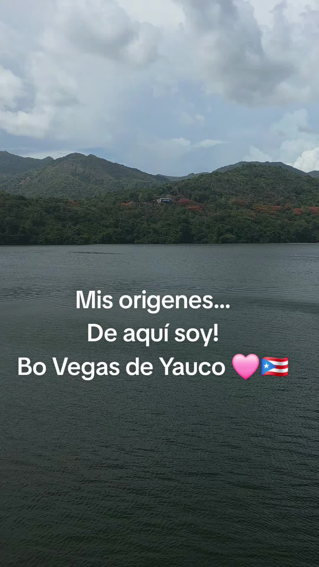 @Minerva Matos