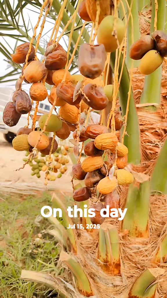 @🇦🇪@UAEFRESH🇦🇪