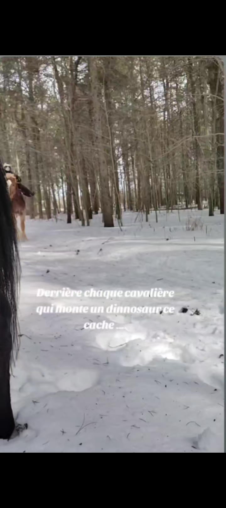 @flica et Nelly