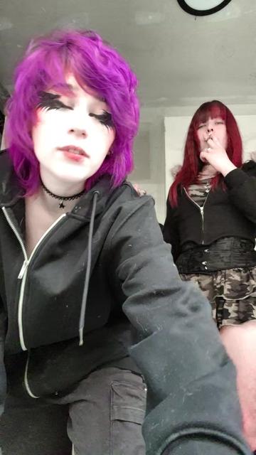 @the_last_meow