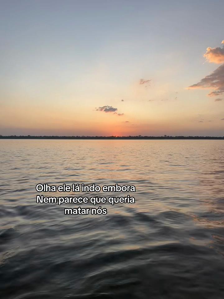 @Ana Paula Dias🌸