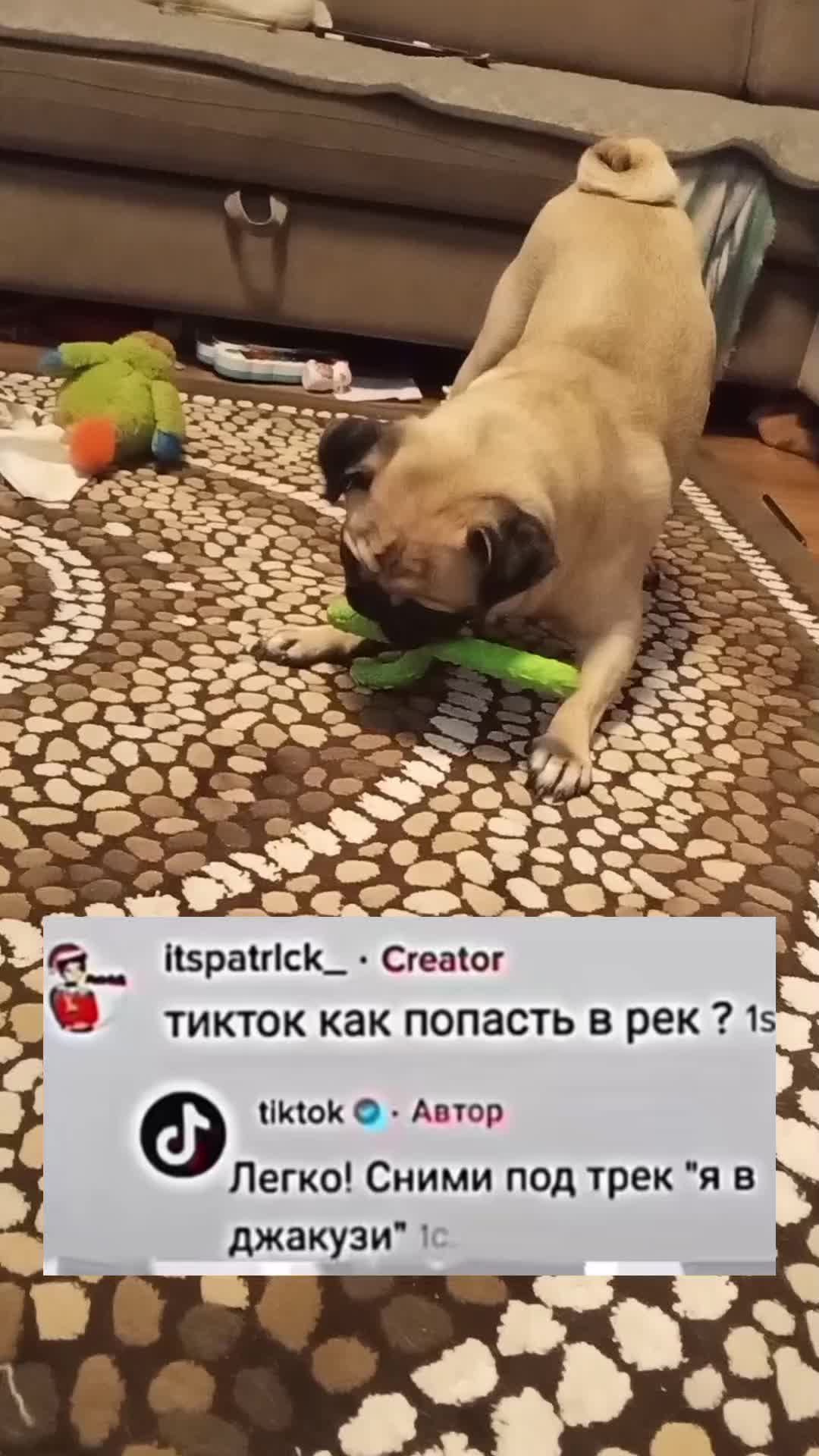 @дiкiй блiнчiк