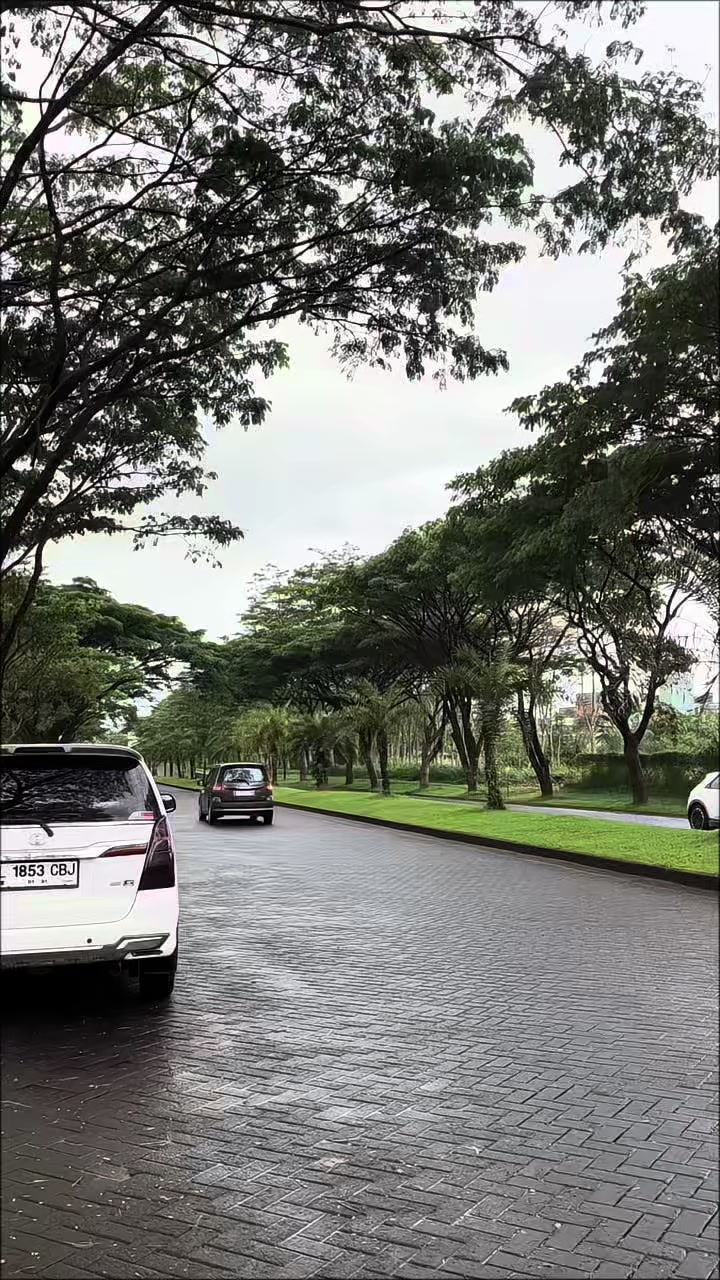 @محمد علوي