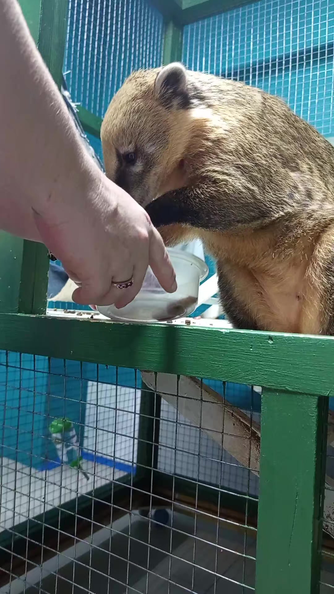 @♥️꧁Татьяна꧂♥️