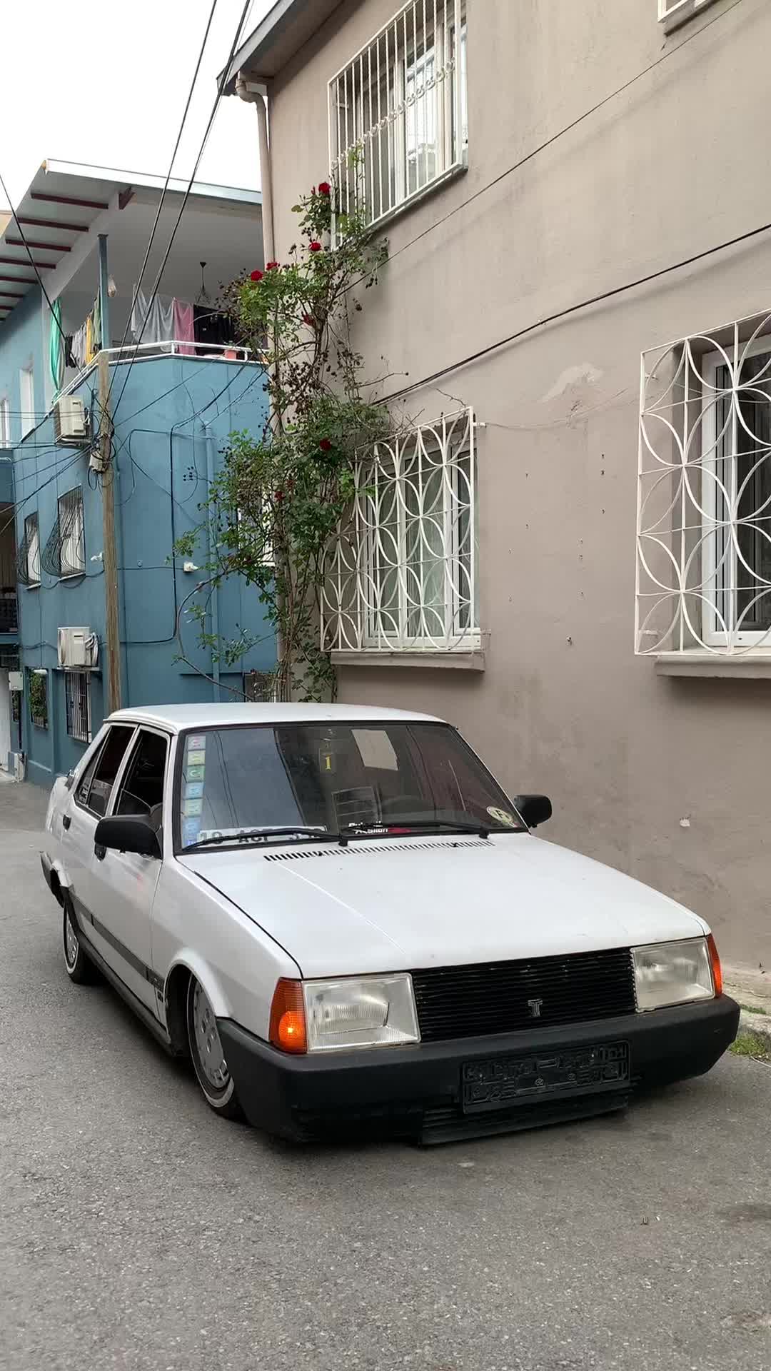 @𝐌𝐄𝐑𝐓 𝐂𝐄𝐘𝐋𝐀𝐍