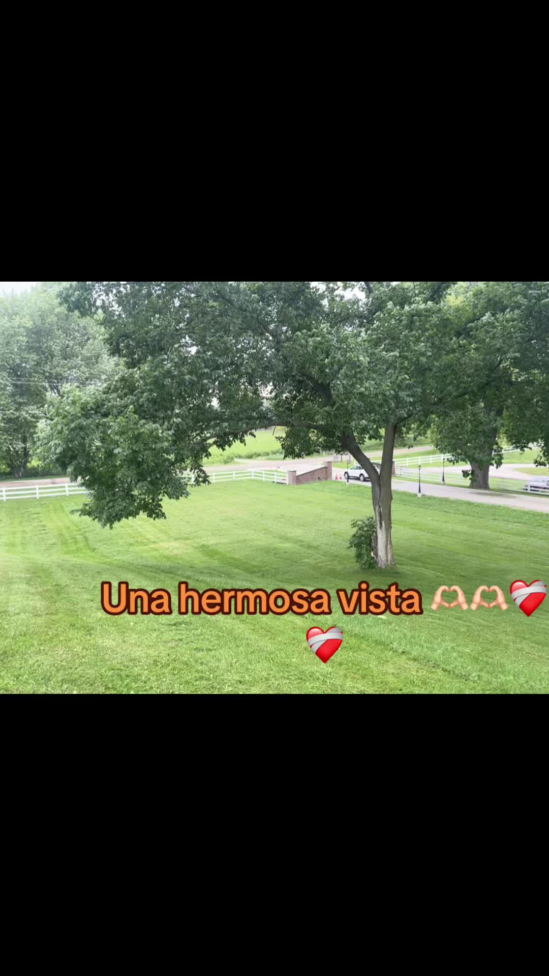 @Francisco Cristina Gutiérrez
