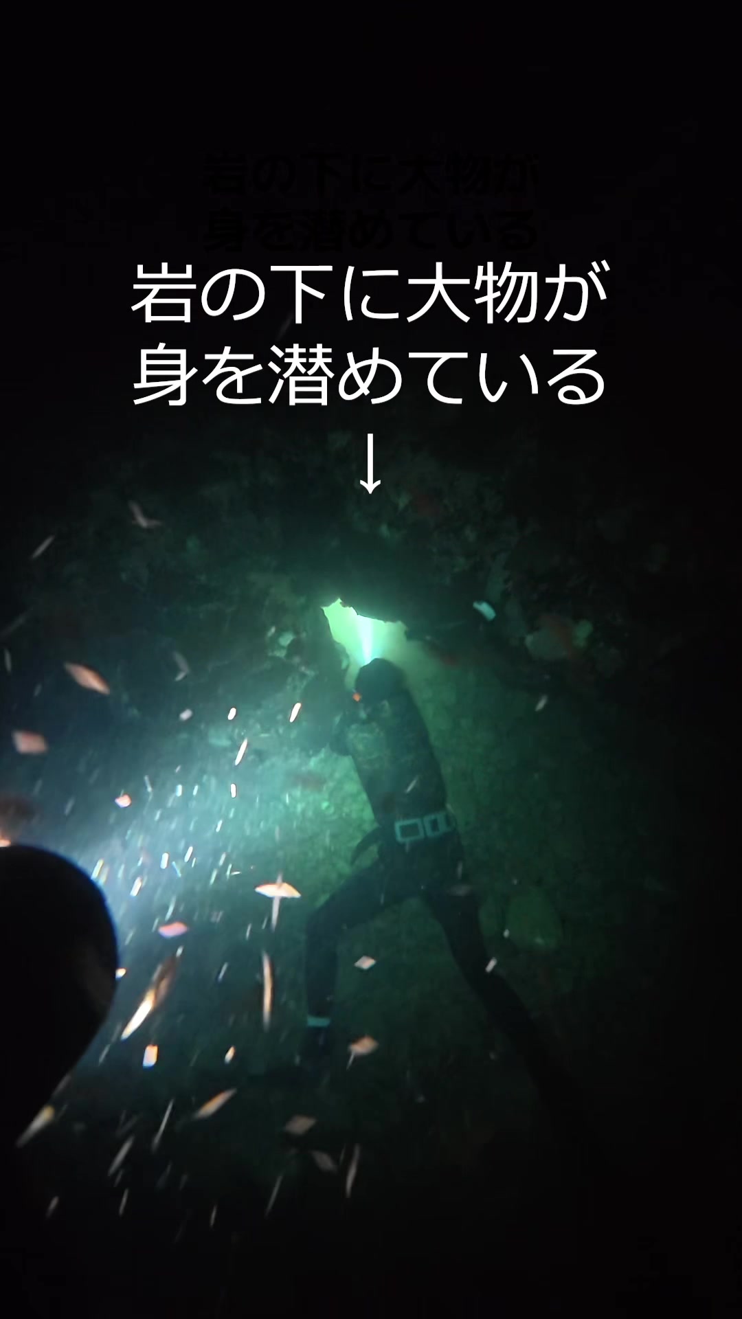 @エルドラド