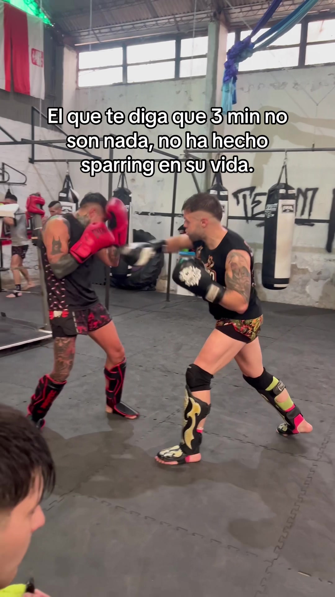 @polaco_fighter