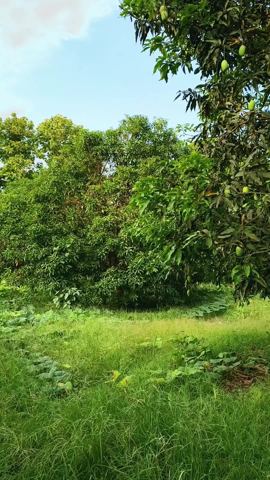 @Mufeedbhai