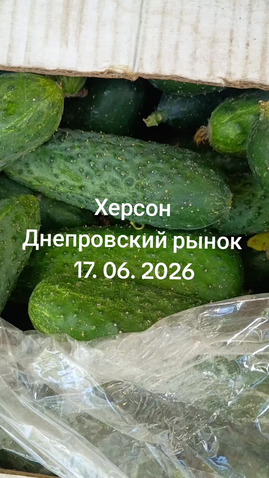 @IOSIF99999