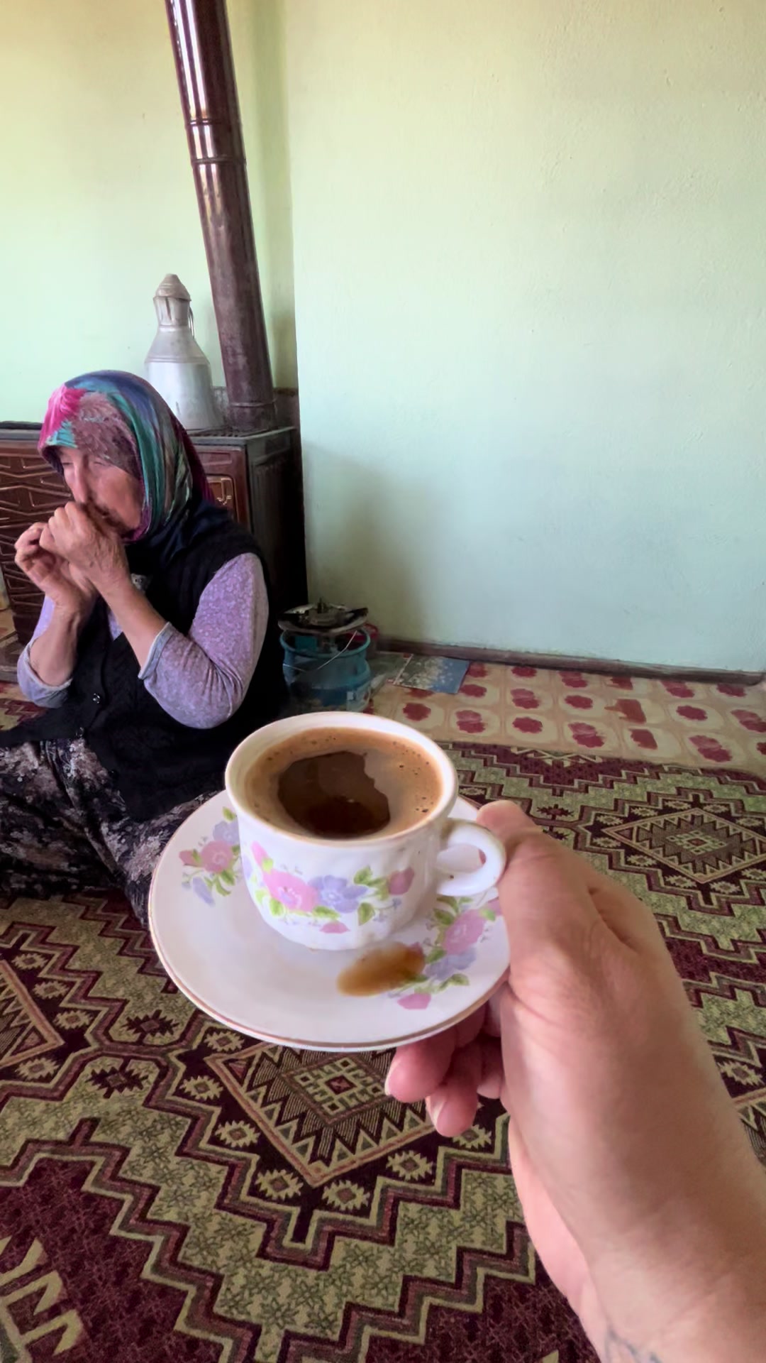 @&Ccedil;i&ccedil;inin k&ouml;y evi