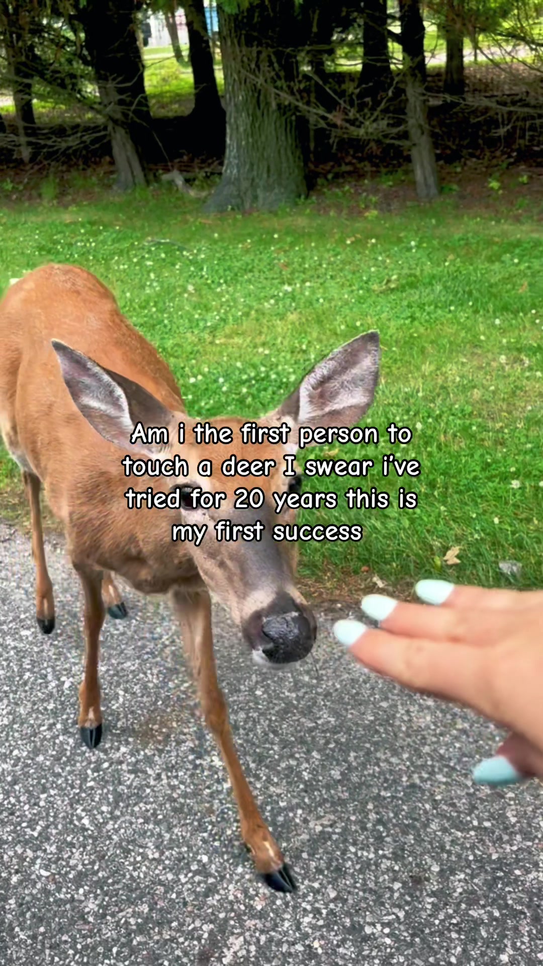 @G E N E V A  ☆  L A C O R T E