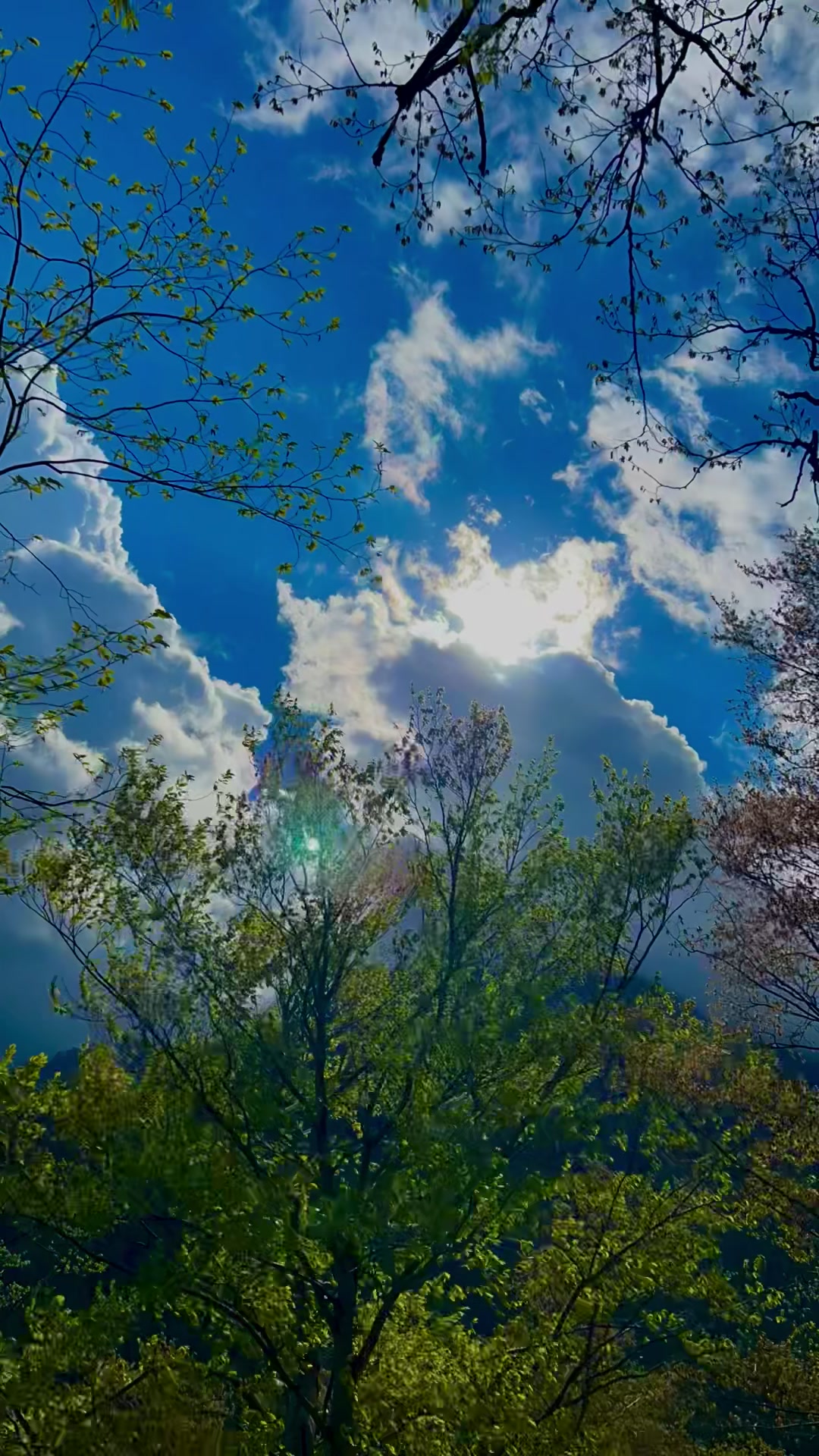 @𝑨𝒅𝒊𝒍𝒐𝒗🌿