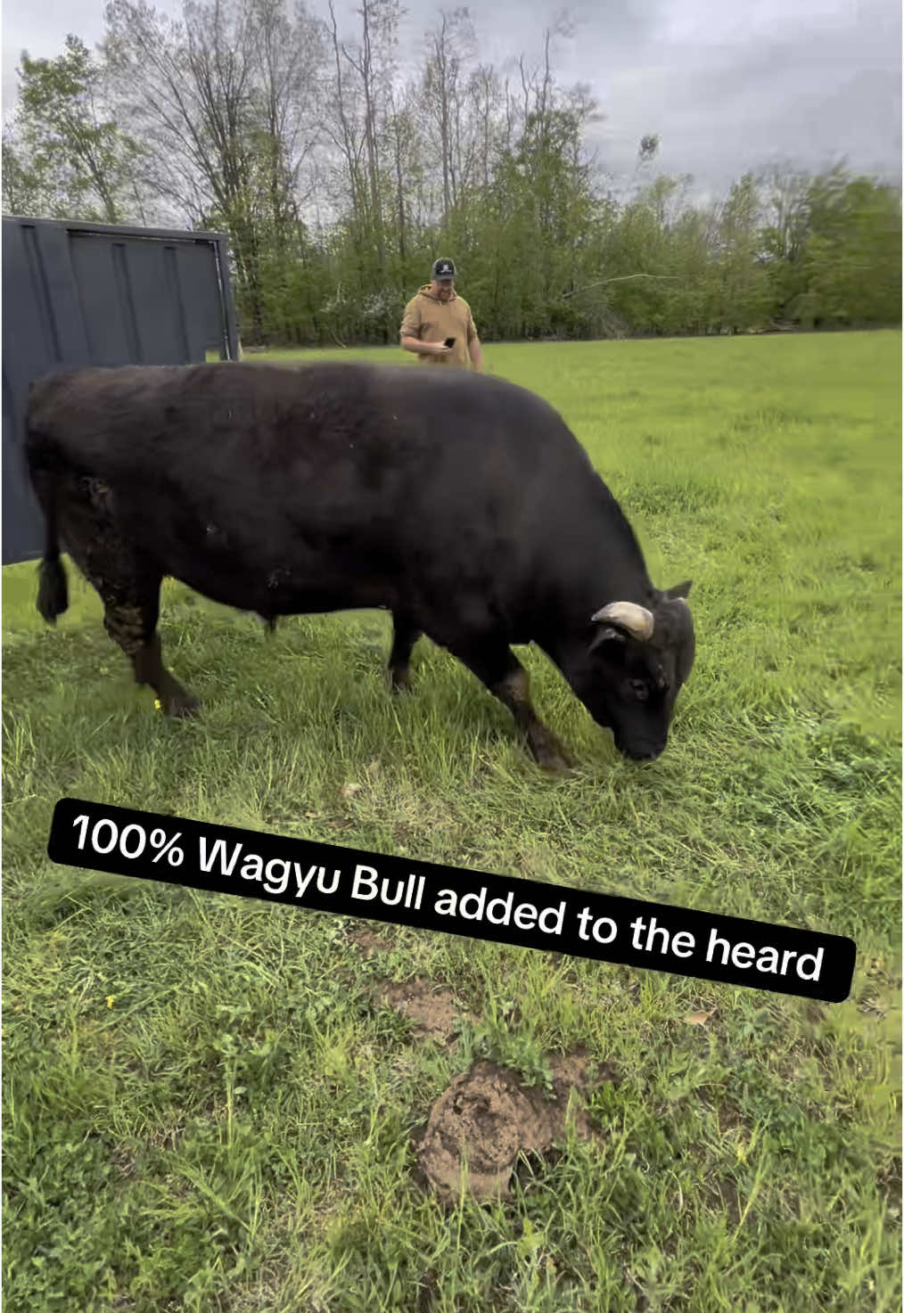 @Melody 🐮🚜