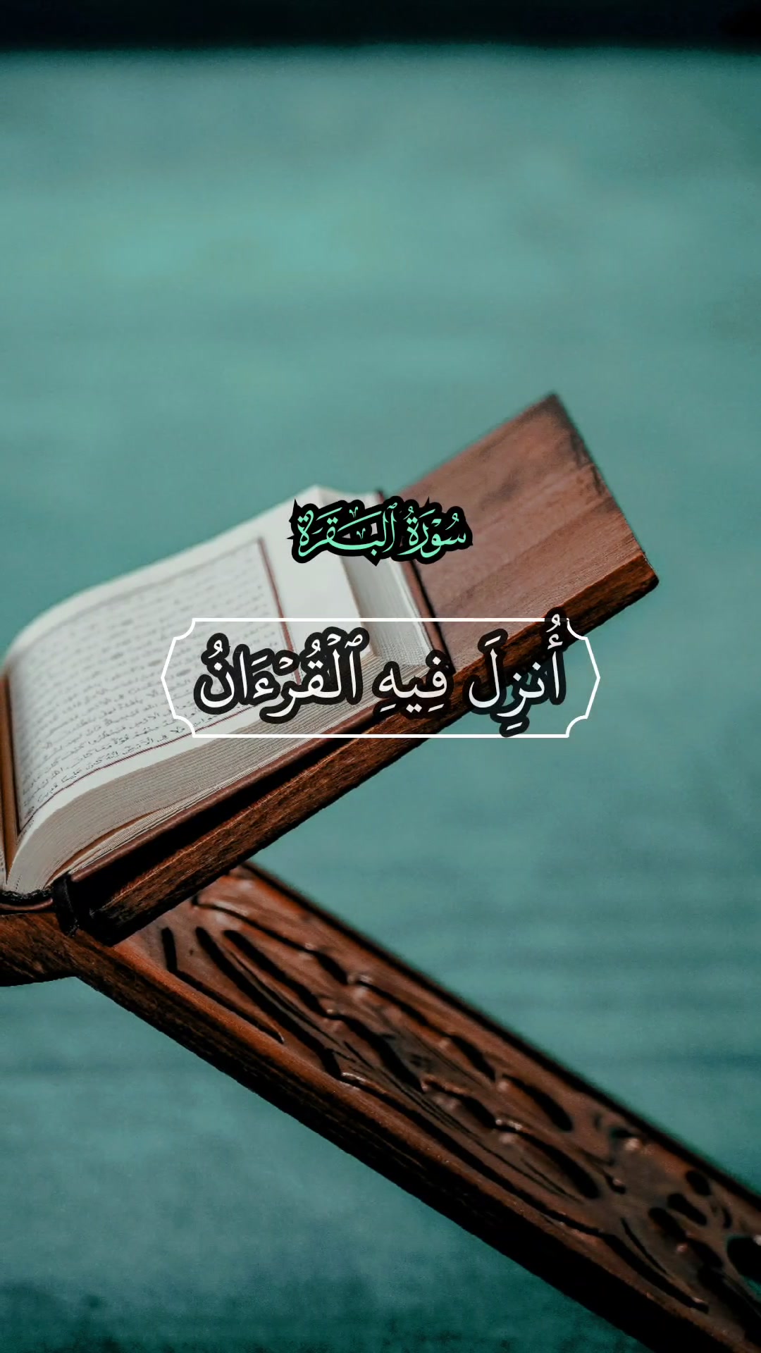 @Quran Hearts | قلوب مع القرآن