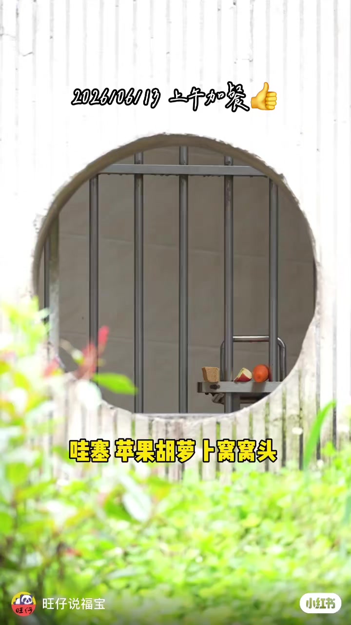 @福寶需要愛的抱抱