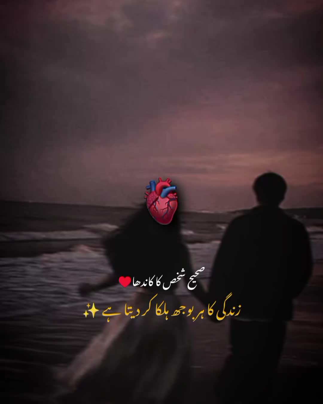 @MrS ArSaLaN♥️