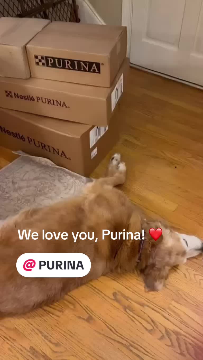 @lifewithduke2025