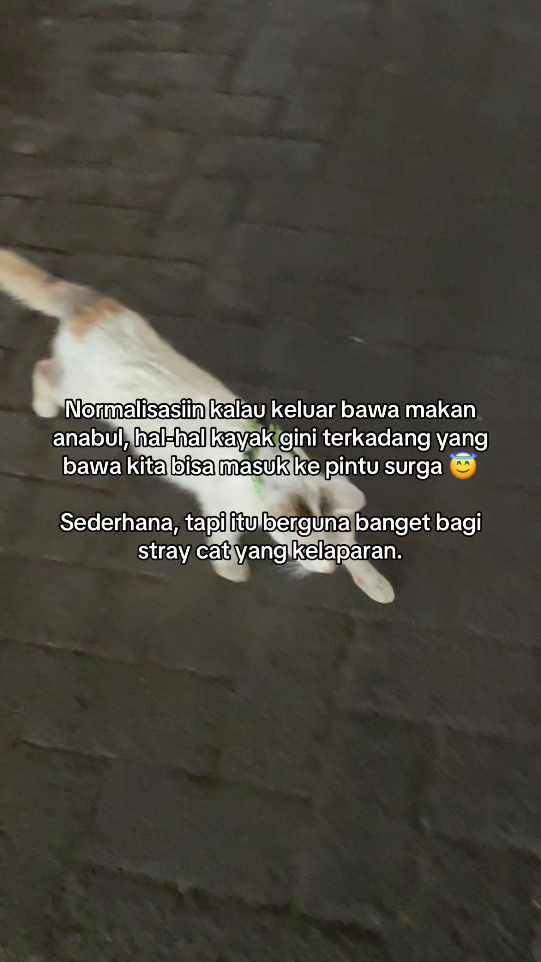 @biskuit&cimul