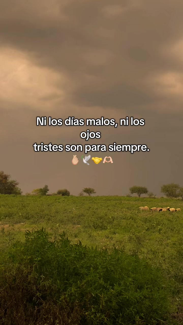 @Lupita Segura
