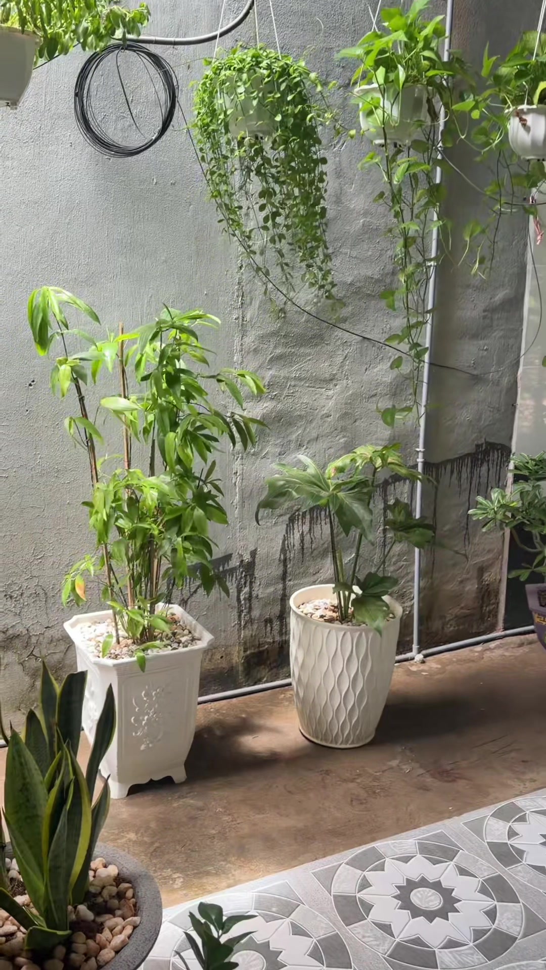 @HỚT TÓC NAM THẢO NGUYÊN Q4