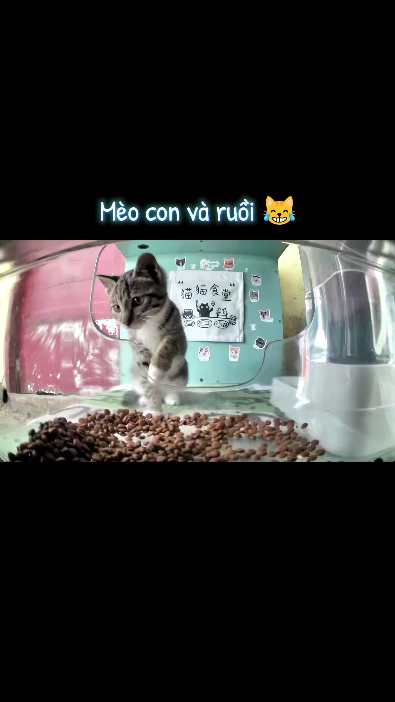 @Meo Meo 😋