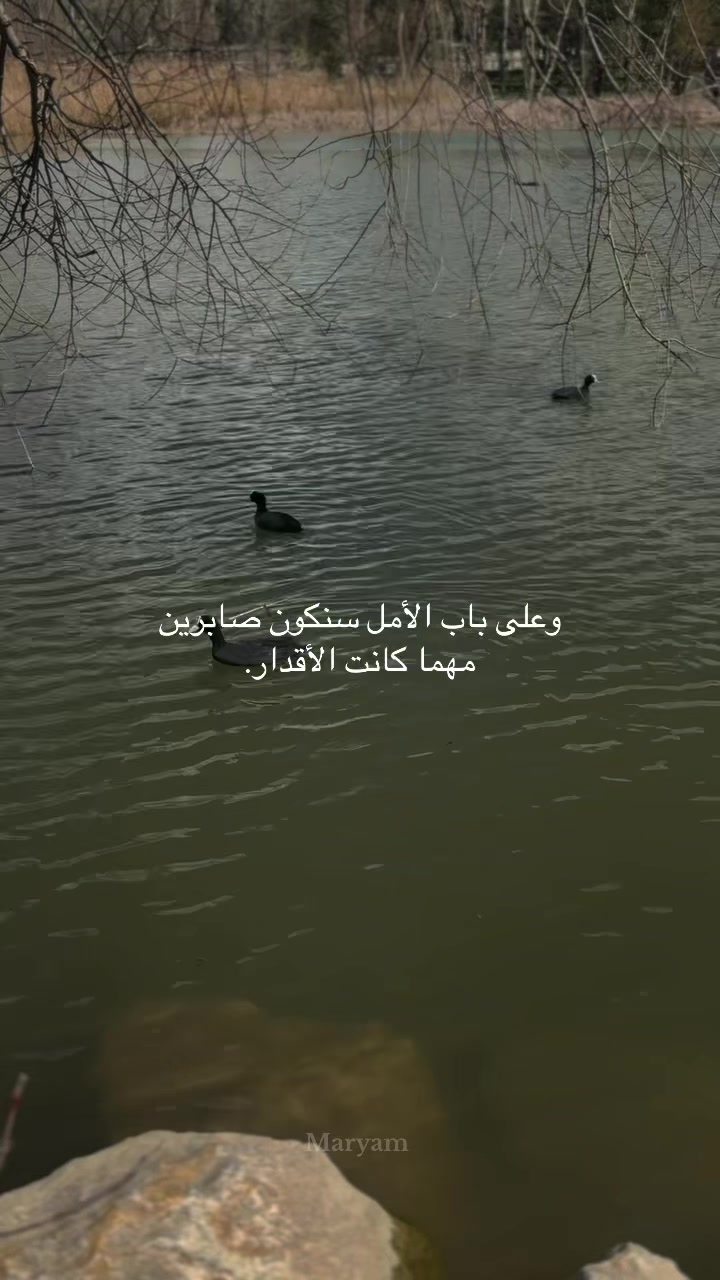@Maryam