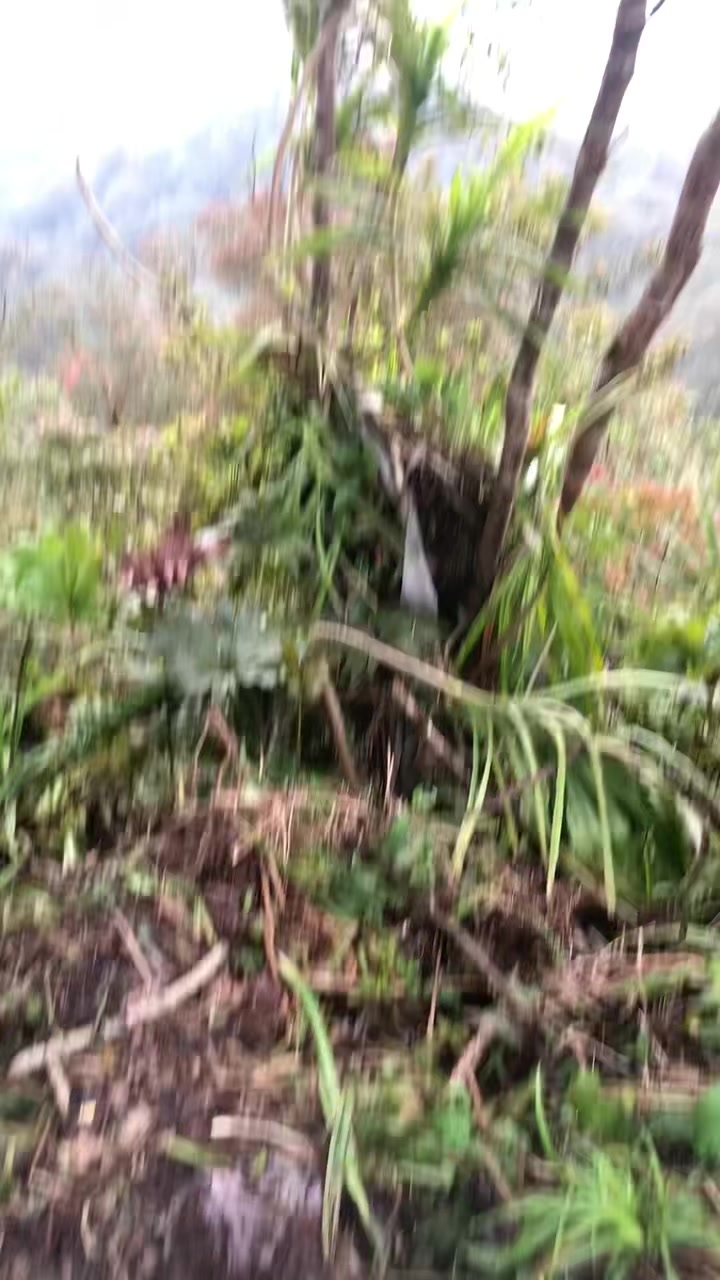 @A