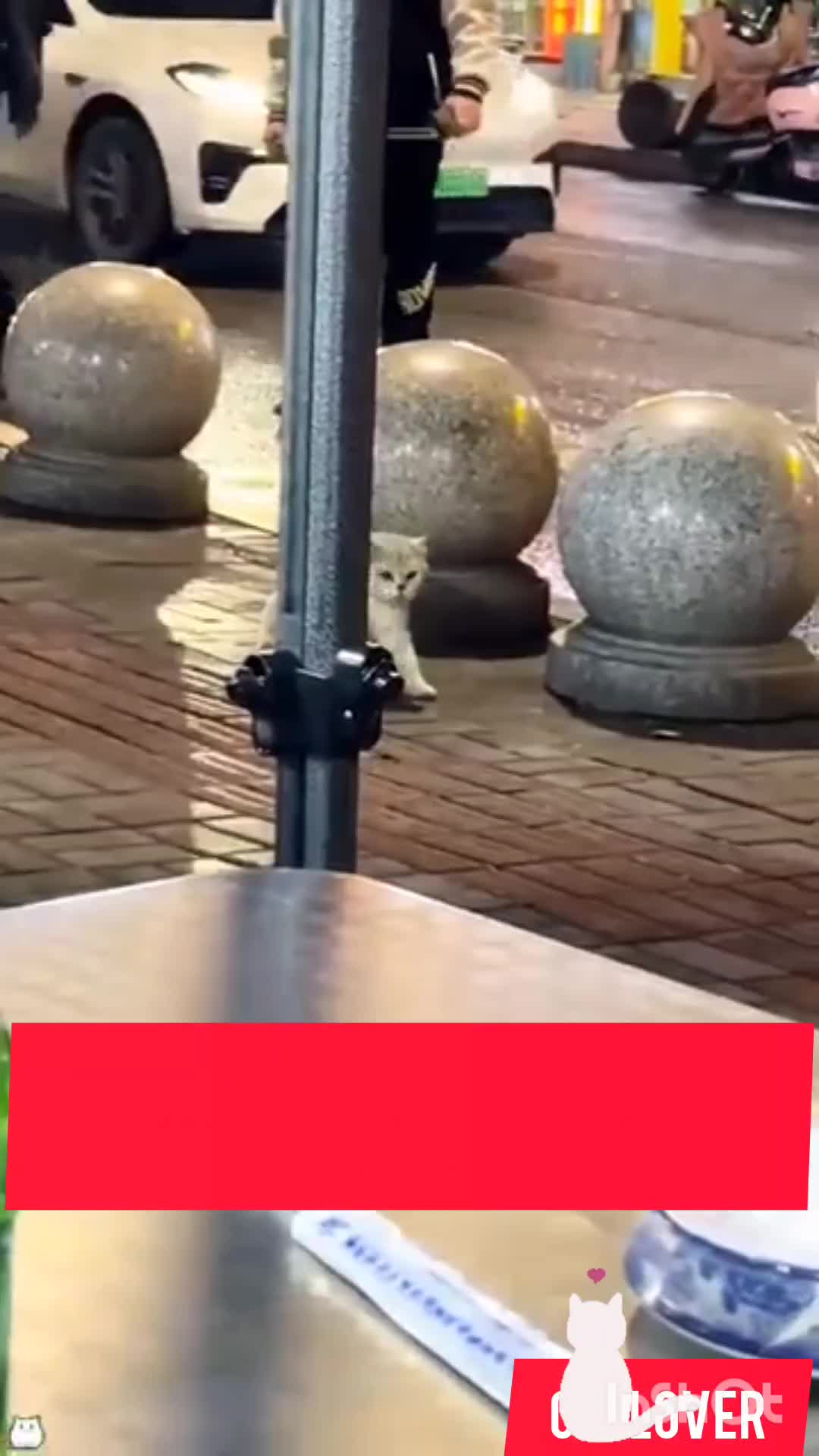 @ceobaran