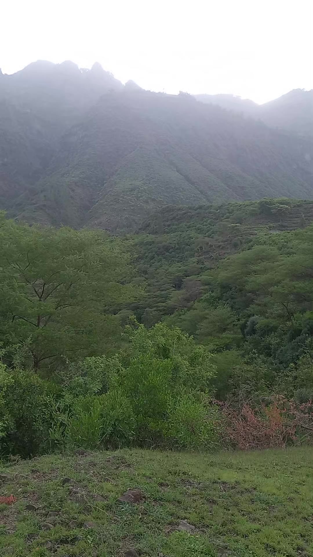 @▤➾ ሀዪ ያባሰሏ 🦅🦋