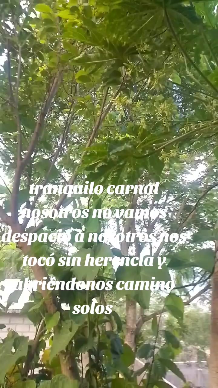 @Guillermo MoralesHernandez