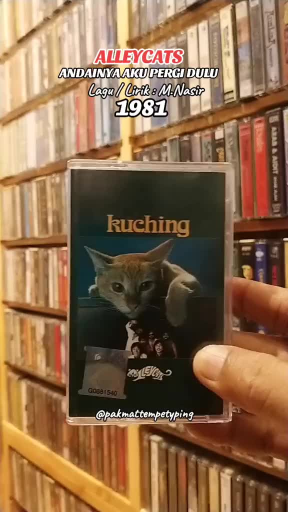 @🄿🄰🄺 🄼🄰🅃